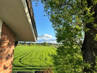 Da Luke - Charming Country House - 8