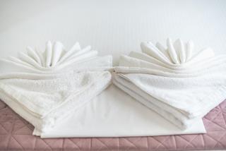Ble Elia Karyatis Suite - Atene - 3