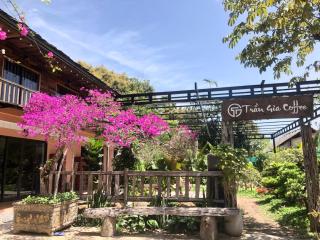 Trần Gia Homestay - 7