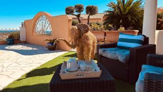 Le Golf - Sainte-Maxime - 4
