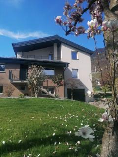 Enrichetta Apartment - Castione Andevenno - 8