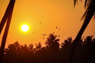 Saltwater Surf Camp - 1