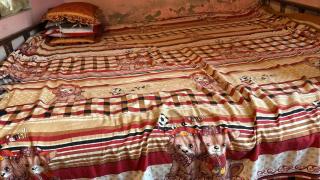 Shiva Homestay - Neoria Husainpur - 2