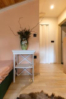 Ferienwohnung Steinachblick - Steinach - 1