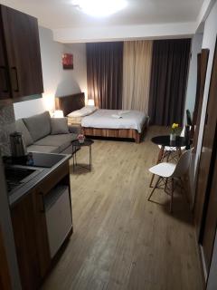 Bakuriani - Didveli Gallery, B 203 - Bakuriani - 9