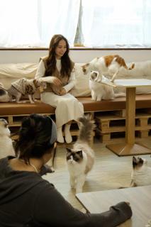 癒室Healing space貓咪咖啡廳寵物友善民宿-台東縣民宿2094號 - 0