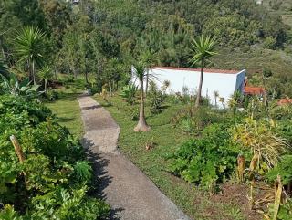 Private House Bungalows Mountain - Caniço - 9