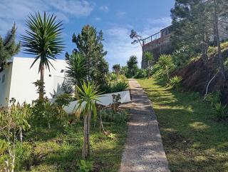 Private House Bungalows Mountain - Caniço - 0