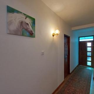 Cloudberry Inn - Nuwara Eliya - 3