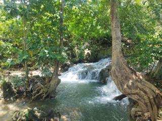 Agus Family Homestay - Labuan Bajo - 5