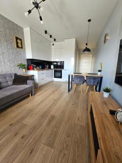 Apartament Ventus Business and Living 46 - Kielce - 0