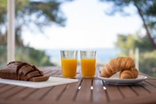 Jasmin House - Sea view - In town - Skala Oropou - 6
