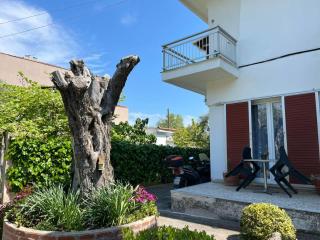 Sun Ray Apartments Thassos - Limenas - 5