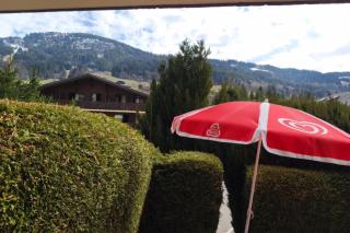 Bright apartment with beautiful garden - Praz-sur-Arly - 9