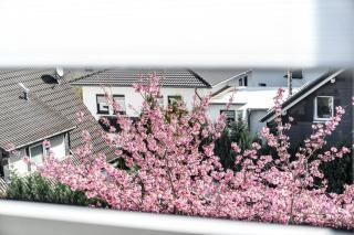 krönchen zwei - Siegen - 7