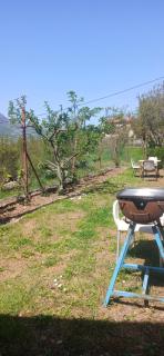 Etno House Mira - Virpazar - 5