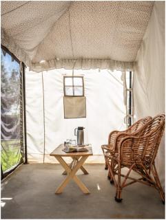 Camp Norling Stars - Koyul - - 3
