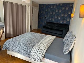 Blue Room I Coloc Cursat - Annemasse - 4