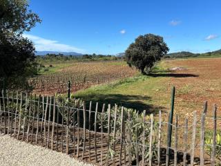 Gite Les Robiniers - Beaumont-de-Pertuis - 1
