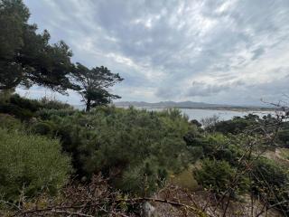 Giulianahouse - La Maddalena - 7