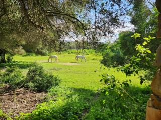 ecological earthen home - Larache - 5
