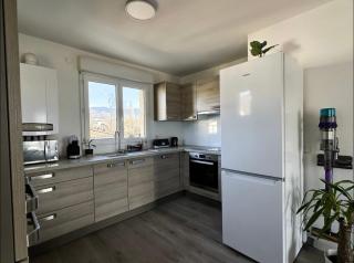 Charming apartment near Geneva - Saint-Julien-en-Genevois - 4