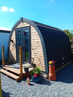 Fat Pete's Pod - Norwich - 0