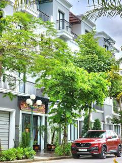 Villa Đức Tuyến - Hạ Long - 0