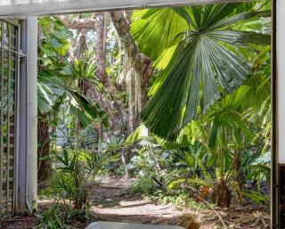 Mission Beach Lodge - Mission Beach - 4