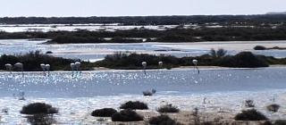 Bungalow Confort et Nature - 7