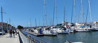 Bungalow Confort et Nature - 2