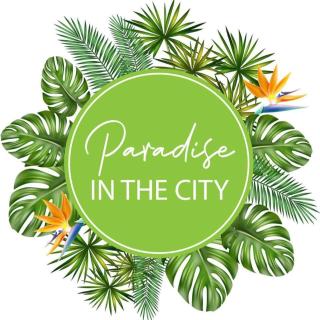 Paradise in the City - Cottage One - Port Elizabeth - 9