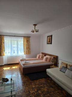 ELDI House - Făgăraş - 5