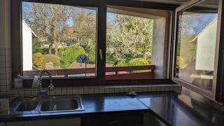 Le petit FrEd - Seebach - 5