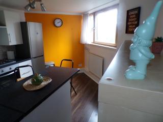 Chelsea Orange Apartment - Central London - Londra - 8