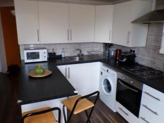 Chelsea Orange Apartment - Central London - Londra - 7