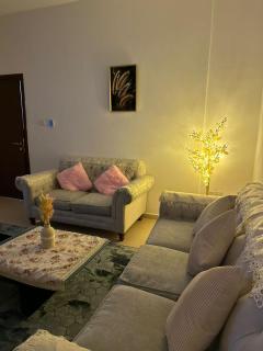 Aparthotels for daily rent - Ajman - 6