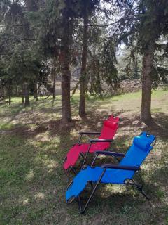 Pine tree cottage - 5