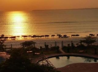 Karibu nyumbani - Dar es Salaam - 3