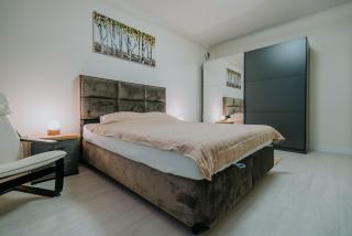Cozy central Brasov apartment - Braşov - 6