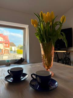 Studio dwupokojowe z łazienką i kuchnią - Augustów - 4