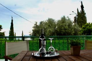 Anthelia - Chalcis - 1