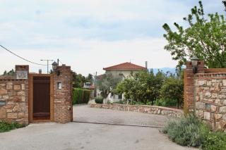 Anthelia - Chalcis - 9