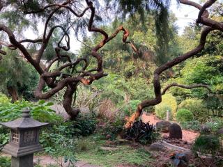 Gaia's Garden Guest House - Auroville - 4