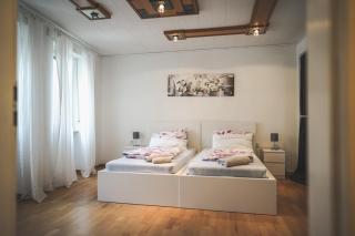 Großes Apartment für Familien und Gruppen WeHome Classic Kaiserslautern - Kaiserslautern - 7