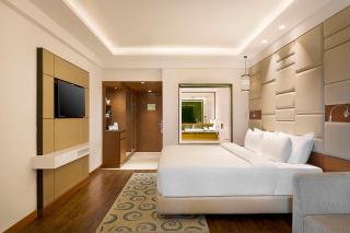 Radisson Jaipur City Center - Jaipur - 8