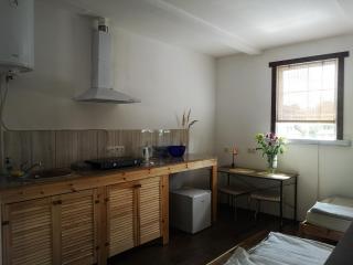 Merkinės viensodis - Merkinė - 4
