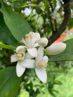 Samotnia w folwarku Wandzin - 2