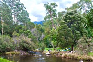 The Tolpuddle Cottage - 3