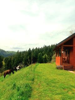 Tiny house - Žiri - 0